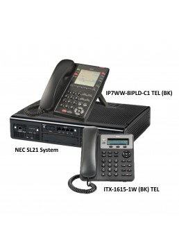 NEC IP4WW-24TIXH
